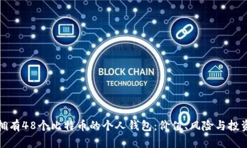 揭秘拥有48个比特币的个人钱包：价值、风险与投资策略