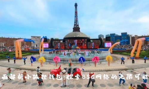 全面解析小狐狸钱包：探索BSC网络的无限可能性