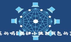 小狐狸钱包是真的吗？揭秘小狐狸钱包的真相与