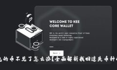 小狐狸钱包的币不见了怎么办？全面解