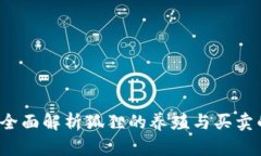 买狐狸是否合法？全面解析狐狸的养殖