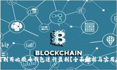 bip/bip

如何利用比特币钱包进行盈利？全面解析与实用指南