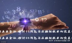 解锁未来金融：探讨SB钱包与区块链技术的完美结