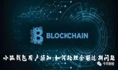 小狐钱包用户须知：如何处理余额过期问题