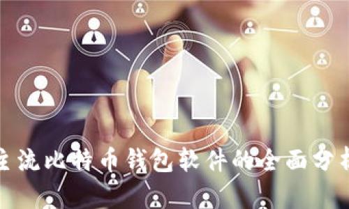 市场上主流比特币钱包软件的全面分析及比较