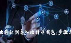 如何安全地将私钥导入比特币钱包：步骤与注意