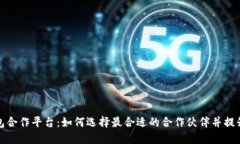 区块链钱包合作平台：如何选择最合适