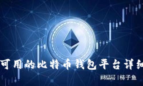 国内可用的比特币钱包平台详细解析