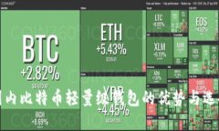 探索国内比特币轻量级钱包的优势与选择指南