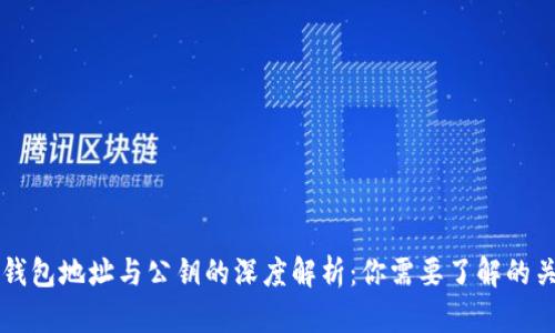 比特币钱包地址与公钥的深度解析：你需要了解的关键区别