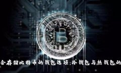 探索最适合存储比特币的钱包选项：冷钱包与热