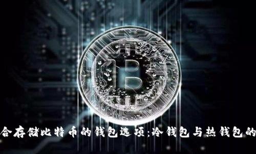 探索最适合存储比特币的钱包选项：冷钱包与热钱包的全面对比