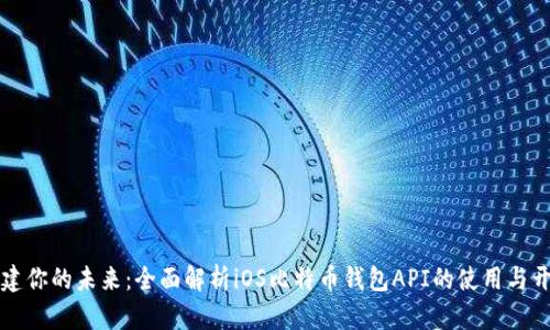 构建你的未来：全面解析iOS比特币钱包API的使用与开发