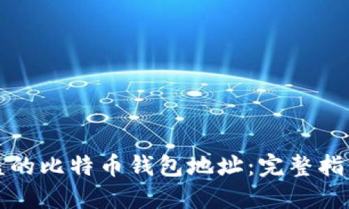如何追踪被盗的比特币钱包地址：完整指南与实用工具