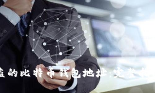 如何追踪被盗的比特币钱包地址：完整指南与实用工具