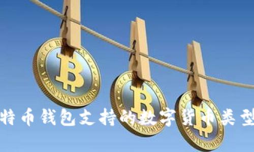 全面解析比特币钱包支持的数字货币类型与存储选择