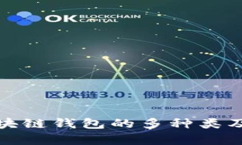 全面解析区块链钱包的多种类及其功能特性