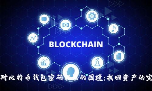 如何应对比特币钱包密码错误的困境：找回资产的完整指南