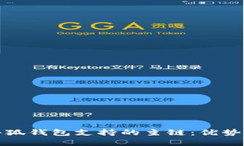 全面剖析小狐钱包支持的主链：优势与应用场景