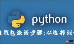 全面解析区块链钱包激活步骤：从选择到设置的