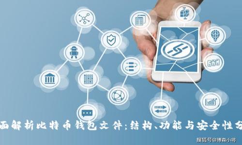 全面解析比特币钱包文件：结构、功能与安全性分析