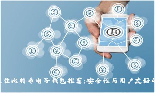bianwei最佳比特币电子钱包推荐：安全性与用户友好的完美结合