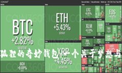 biao­ti小狐狸的奇妙钱包：一个关于梦