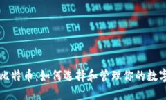 专注比特币：如何选择和管理你的数字