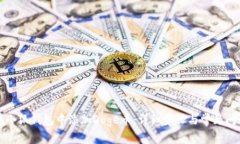 如何在小狐钱包中添加Doge币：详细步骤与常见问