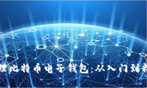 如何选择和办理比特币电子钱包：从入门到精通的全面指南
