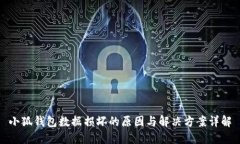 小狐钱包数据损坏的原因与解决方案详解