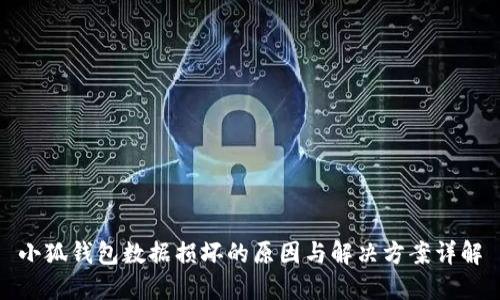 小狐钱包数据损坏的原因与解决方案详解