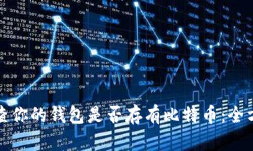 如何检查你的钱包是否存有比特币：全方位指南