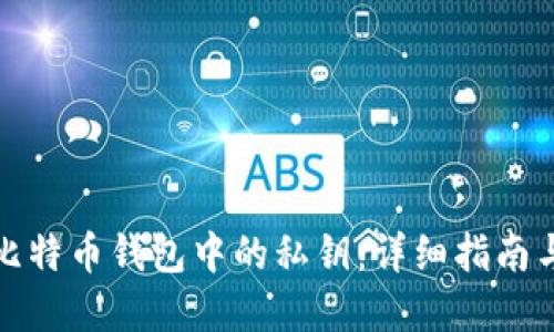 如何查看比特币钱包中的私钥：详细指南与实用技巧