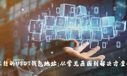 如何应对冻结的USDT钱包地址：从常见原因到解决方案的全面指南