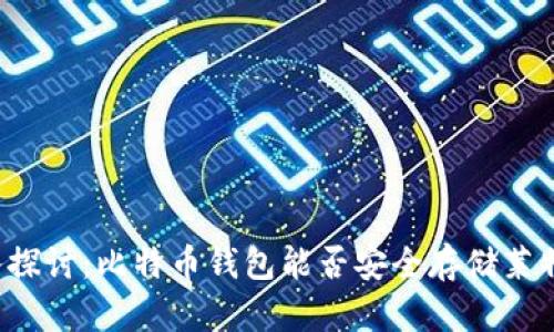 深入探讨：比特币钱包能否安全存储莱特币？