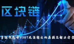 多链钱包中USDT无法转出的原因及解决
