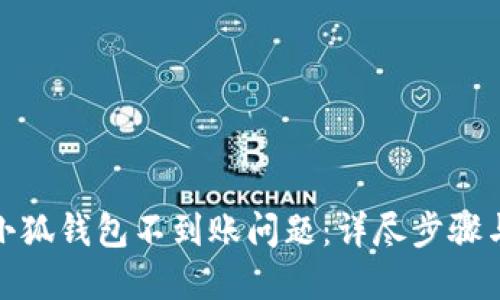 如何解决小狐钱包不到账问题：详尽步骤与实用建议