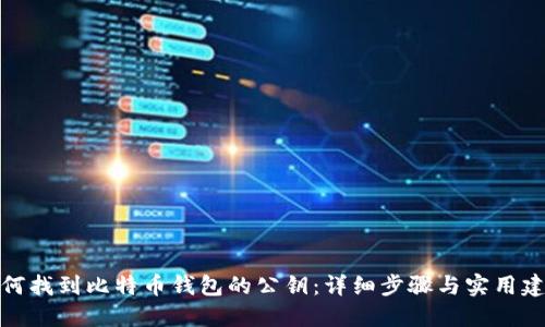 如何找到比特币钱包的公钥：详细步骤与实用建议