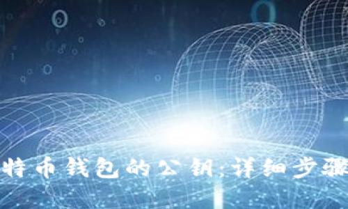如何找到比特币钱包的公钥：详细步骤与实用建议