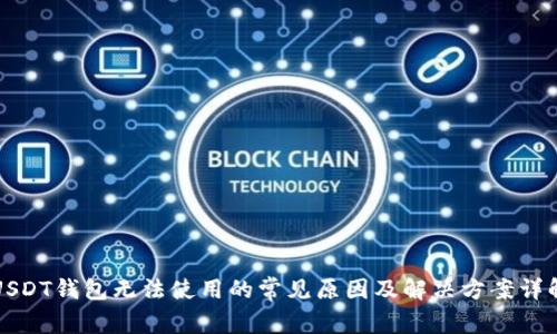 USDT钱包无法使用的常见原因及解决方案详解