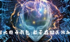深入理解比特币钱包：能否存储其他加
