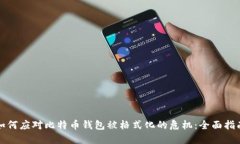 如何应对比特币钱包被格式化的危机：