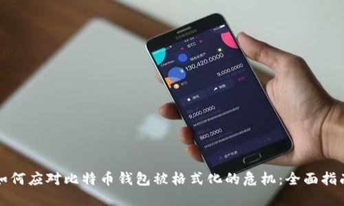 如何应对比特币钱包被格式化的危机：全面指南