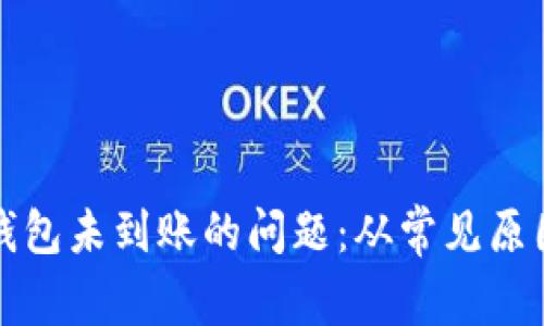 如何处理中本聪小狐钱包未到账的问题：从常见原因到解决方案全面分析