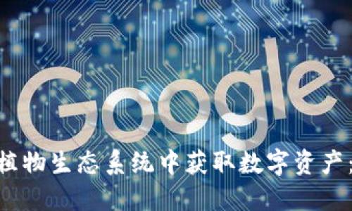 如何利用MetaMask在加密植物生态系统中获取数字资产：从钱包设置到实际操作详解