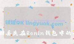 如何有效找回丢失在Ronin钱包中的小狐