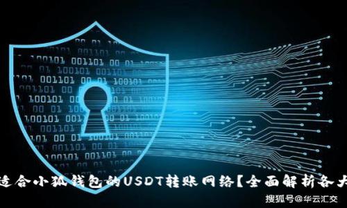 如何选择适合小狐钱包的USDT转账网络？全面解析各大网络优劣