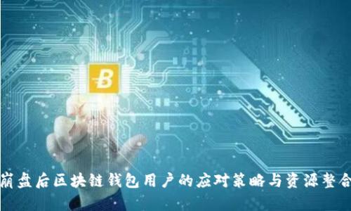崩盘后区块链钱包用户的应对策略与资源整合