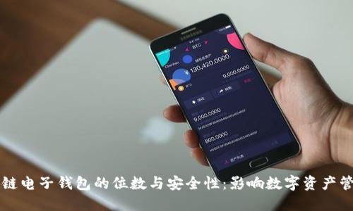 深入探讨区块链电子钱包的位数与安全性：影响数字资产管理的关键因素